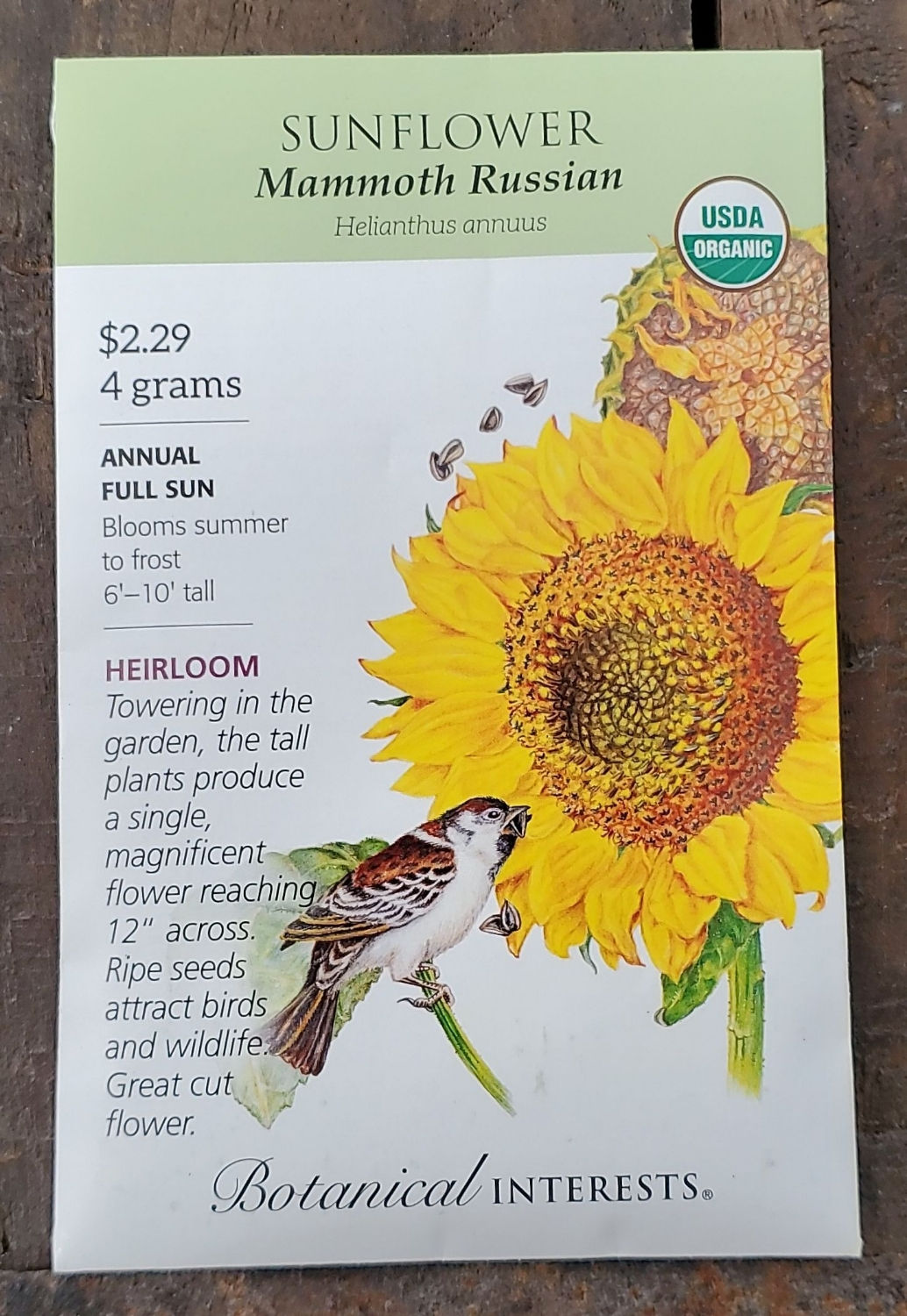 Sunflower Mammoth Russian Organic