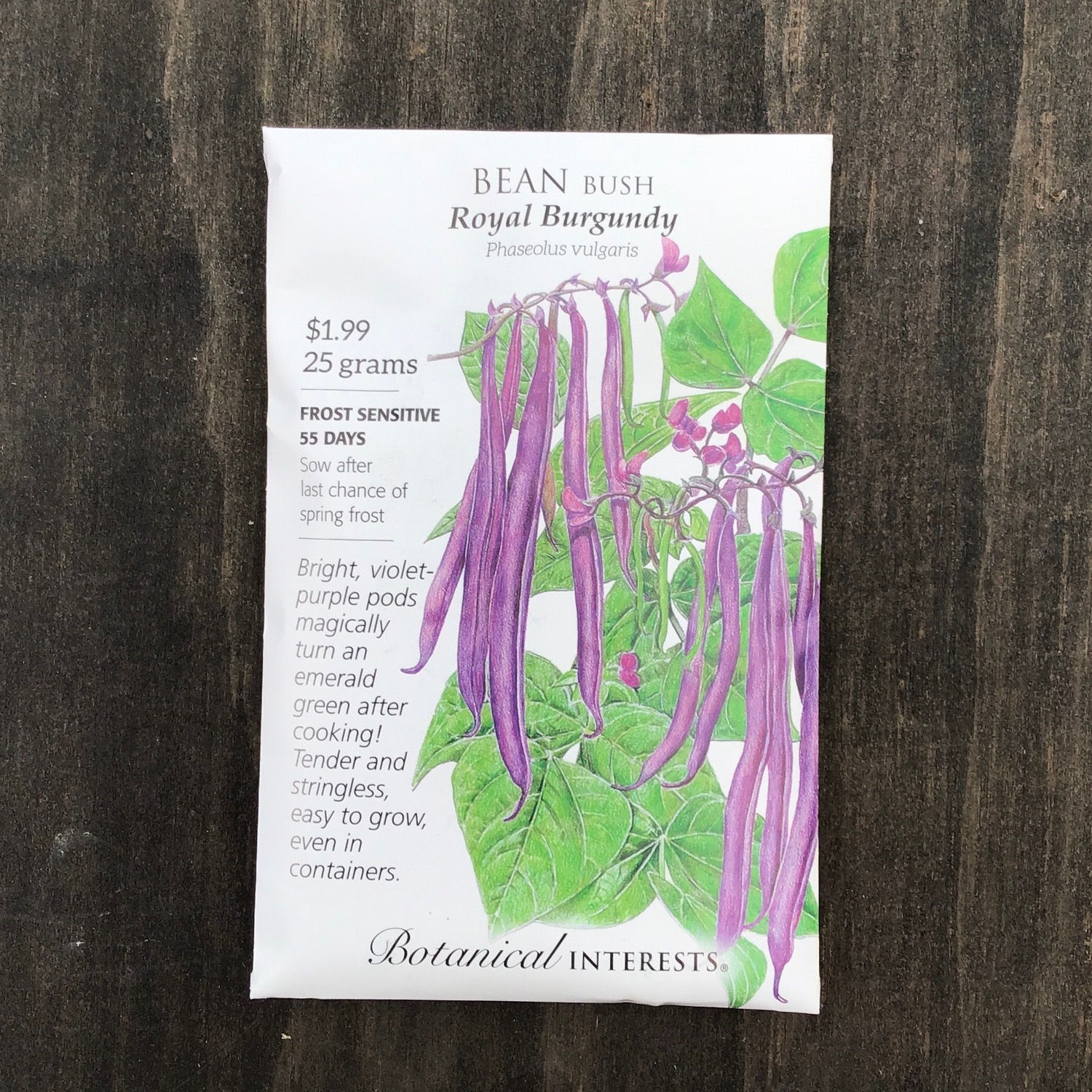 bean bush royal burgundy