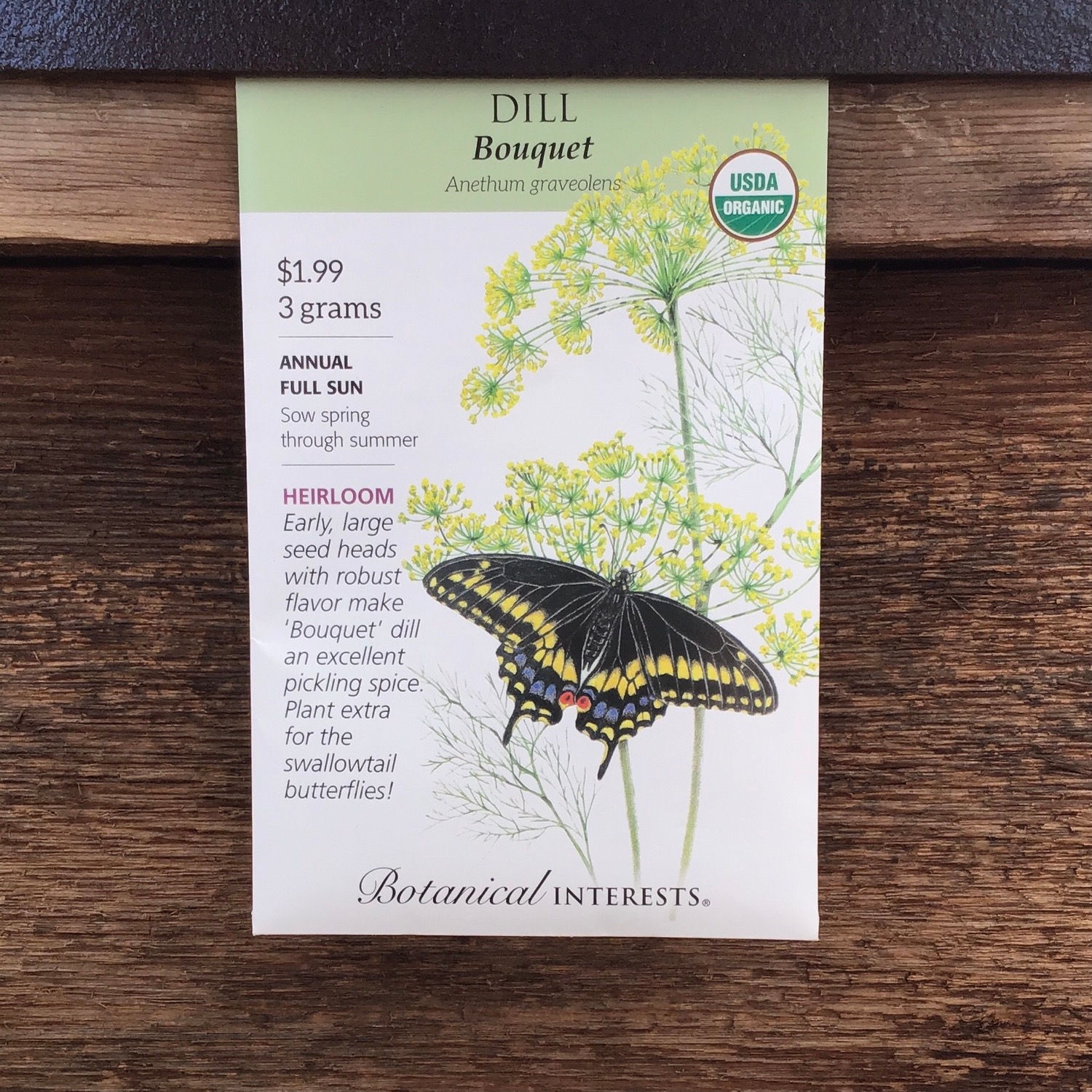 Dill bouquet organic