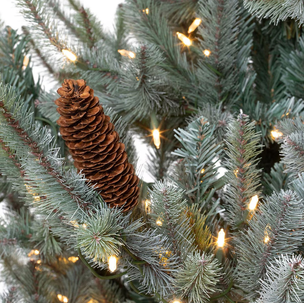 Thumbnail: Blue Spruce Christmas Tree, 7.5' Clear and Multi Lights