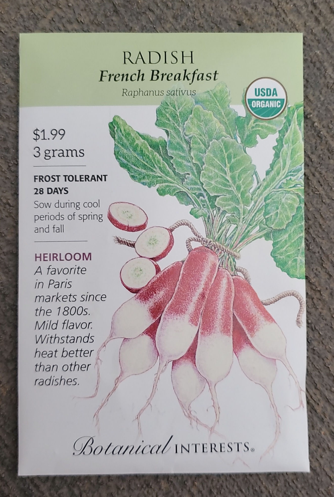 Radish French Breakfast Organic