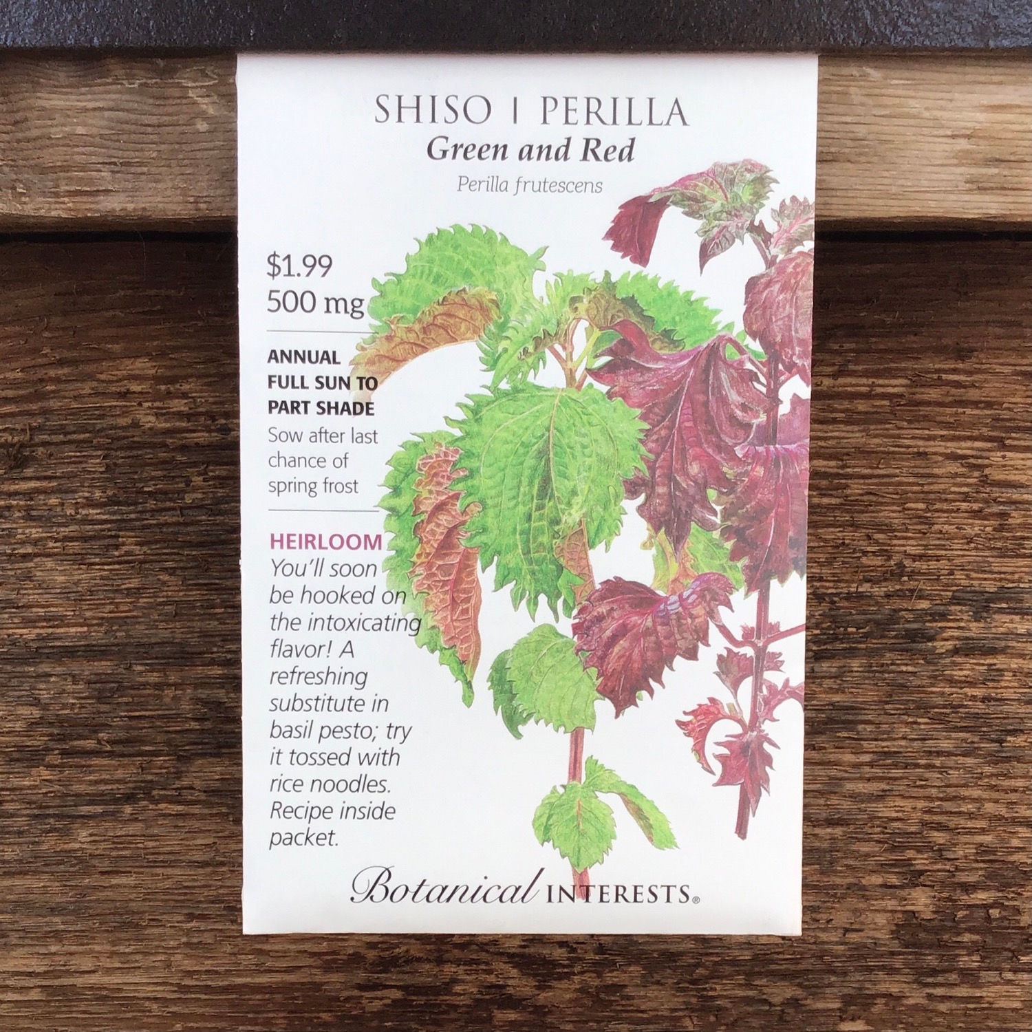Shiso Perilla green and red