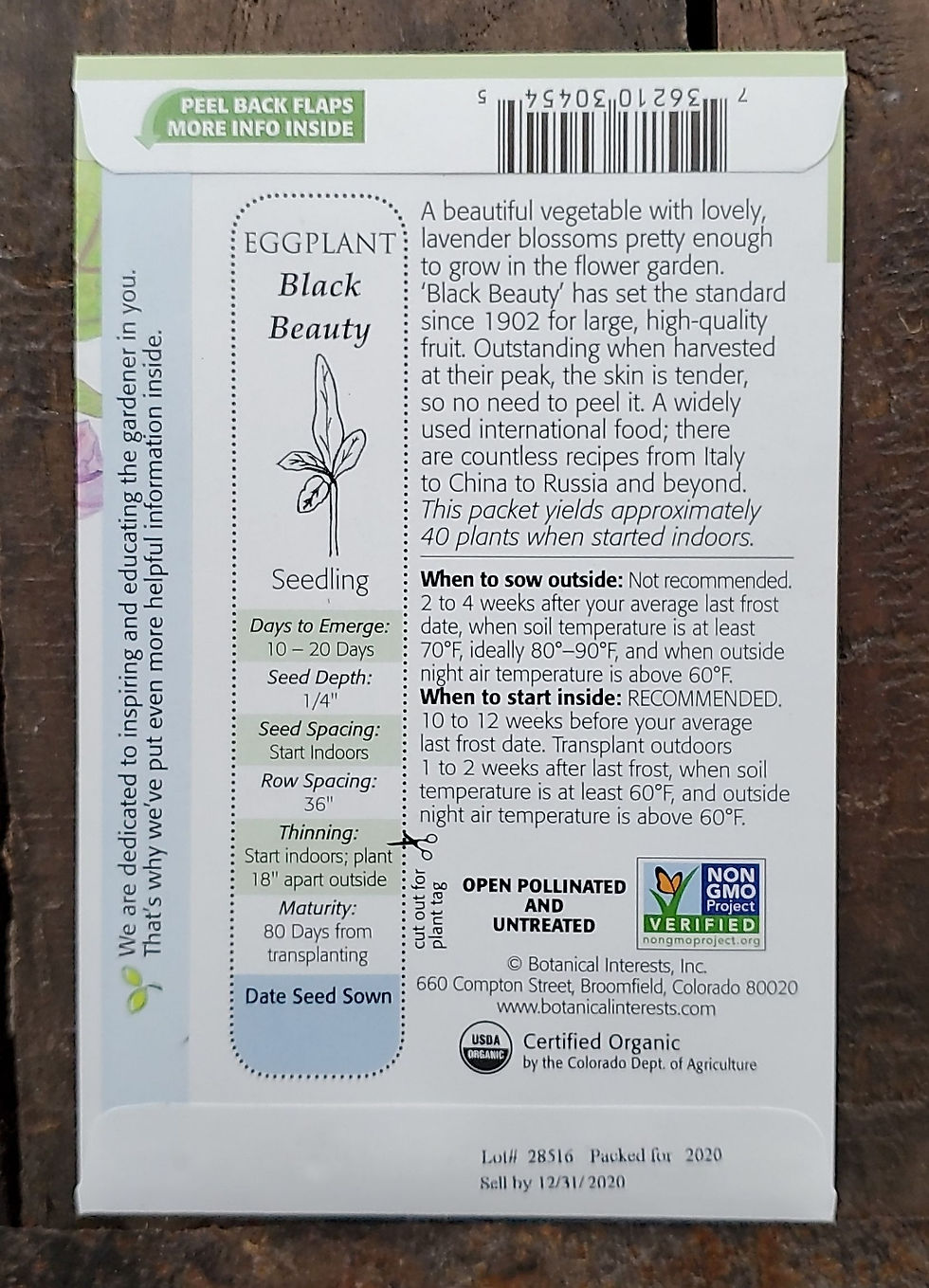 Thumbnail: Eggplant Black Beauty Organic