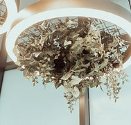Matresence Birth Centre-2301.jpg