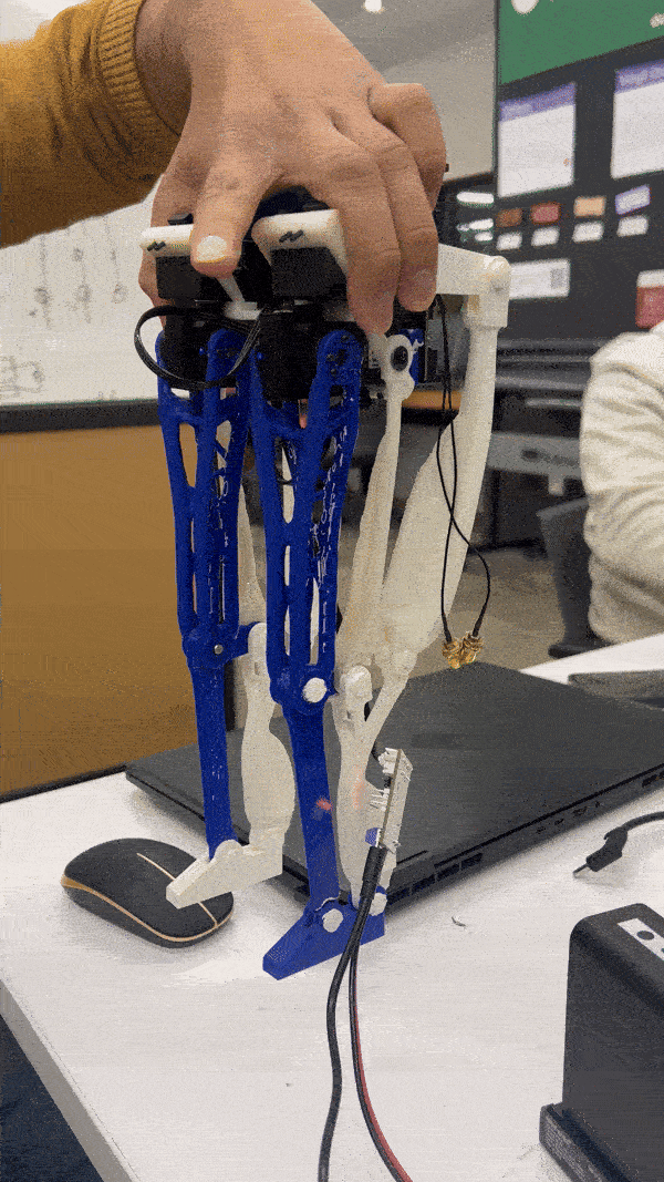 Biped prototype working inverse kinematics