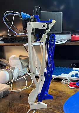 Biped Prototype 3