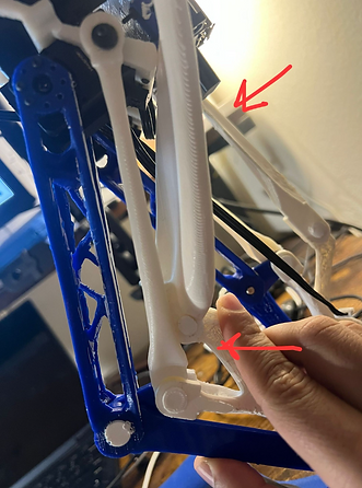 singulatrity in the biped design