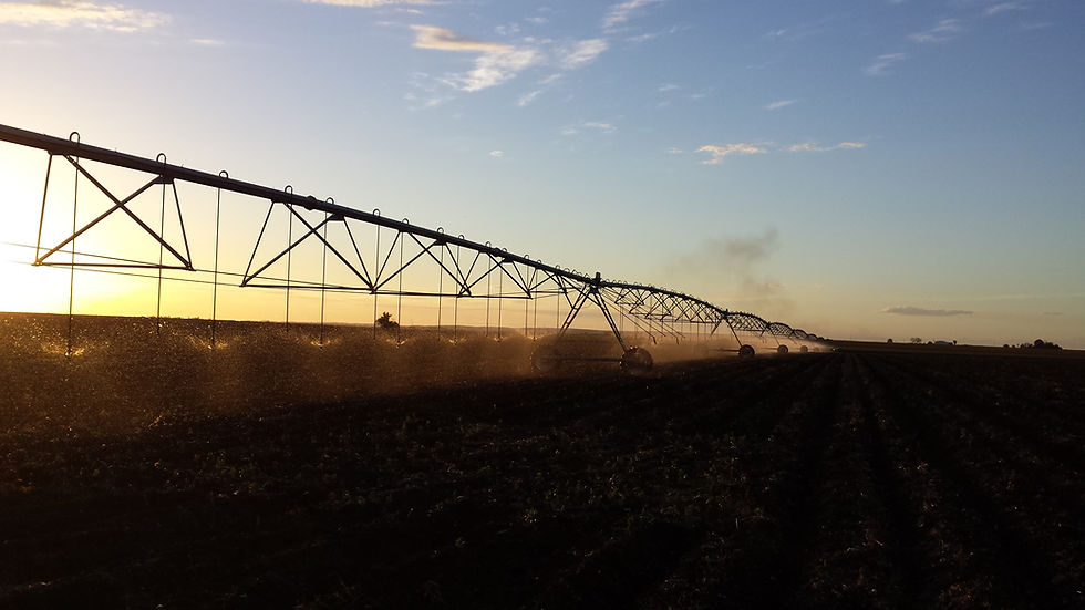 Valley centre pivot & iWob sprinkler