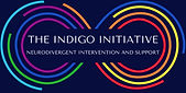 THE INDIGO INITIATIVE 2_edited.jpg