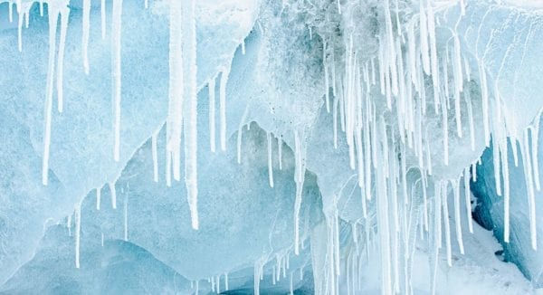 サムネイル： THE ALPS