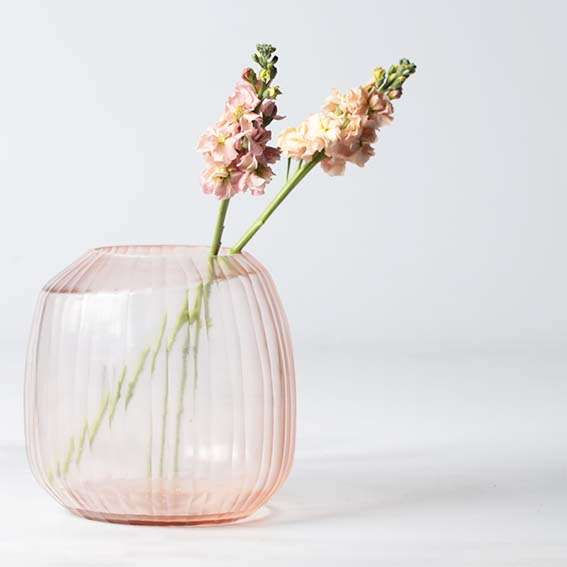 サムネイル： MALIA（col. Rose）_L