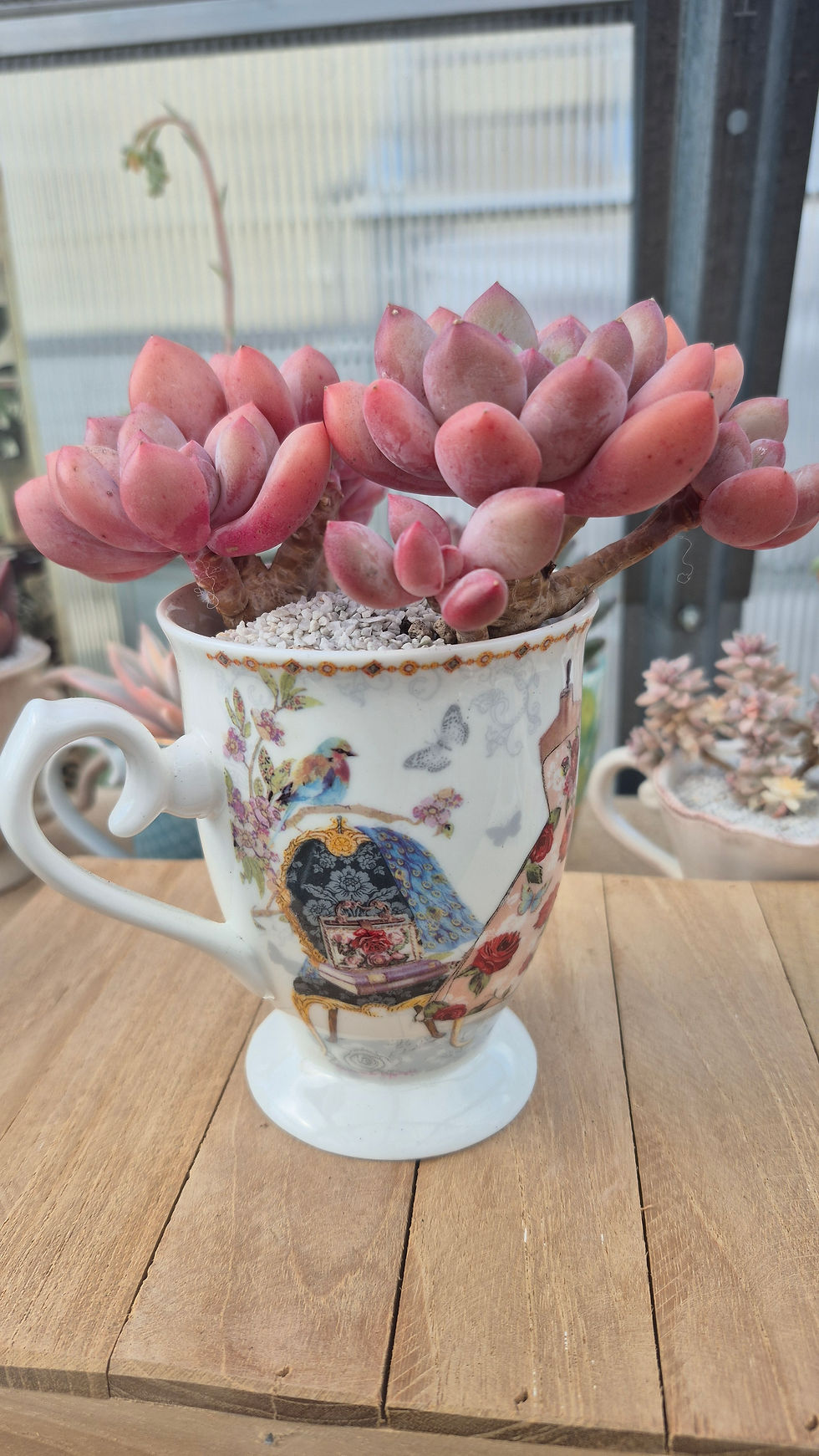 Miniature : Pot robe oiseau