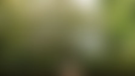 Renovating Heritage Homes in Melbourne: Step-by-Step from Planning to Completion