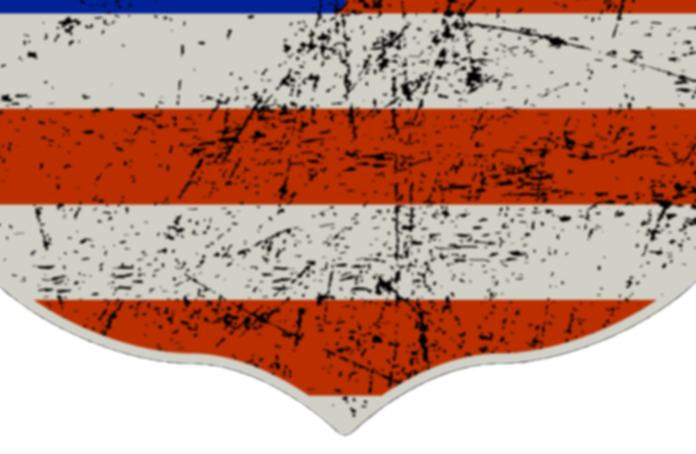 usa badge transparency.png