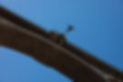 OUTDOOR DEPORTE BUNGEE JUMPING SALTO BASE PUENTING PARKOUR DEPORTES EXTREMOS ESCALADA SKATAEBPARDING COMPETICIONES ALICANTE VALENCIA BENIDORM ALTEA JAVEA GANDIA VALENCIA ALCOY MURCIA CALPE