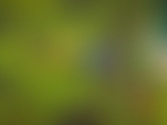 Los deportes extremos 