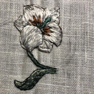 Lilly 1 with stem