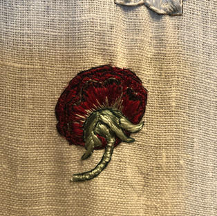 Rose 1 take 2