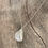 Thumbnail: Mussel Shell from Rockland- Large