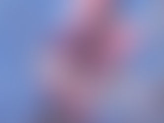 紅枝垂れが咲き始めました♪