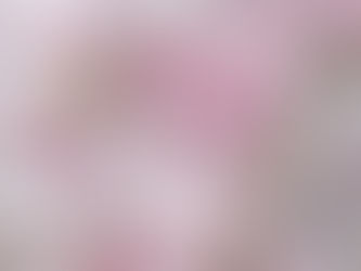 八重紅枝垂が見頃です♪