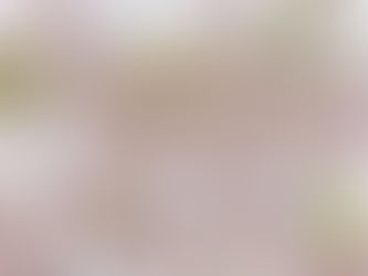 有明、白妙、御車返し、白雪