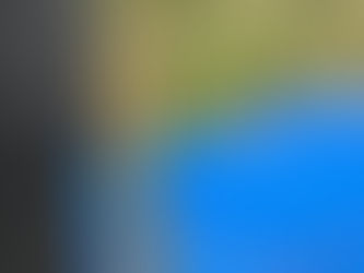 切り接ぎをしました