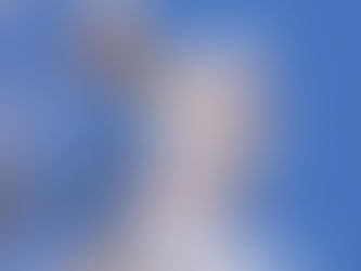 山高神代桜が咲き始めています♪