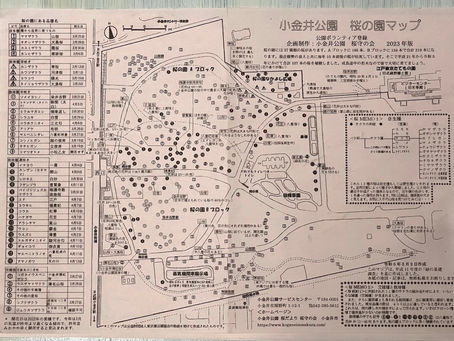 桜の園マップを印刷しました