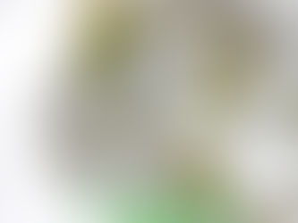 ヤマザクラ(平右衛門桜)