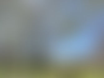 とっておきの場所でピクニック♪ @寒咲大島