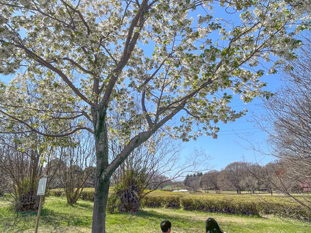 とっておきの場所でピクニック♪ @寒咲大島