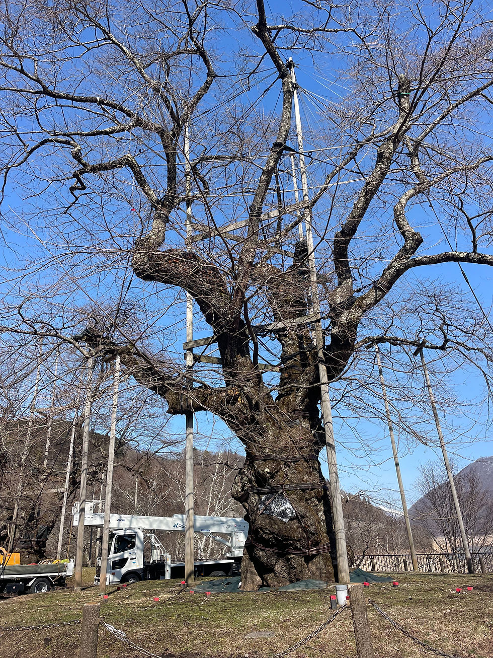 一大ミッション！！