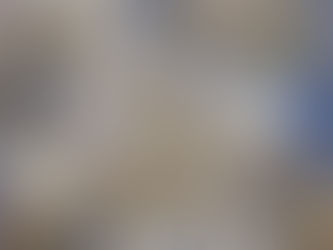 衣通姫に似るが咲き始めました♪