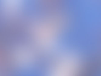 越の彼岸桜が咲き始めました♪