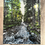 Thumbnail: 16x20 Acadia National Park Print
