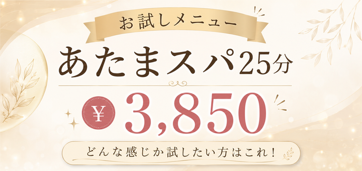 お試しメニュー あたまスパ25分　\3,850 どんな感じか試したい方はこれ！
