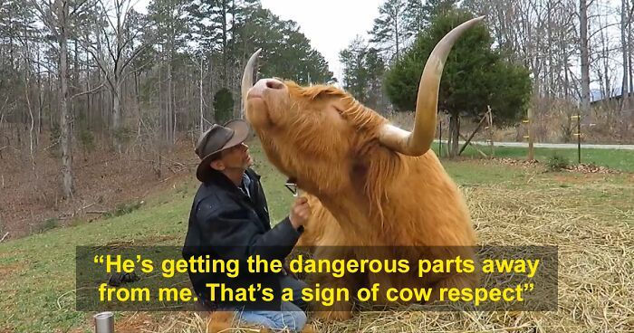 ree
