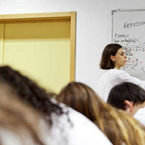 Cursos com desemprego zero em Portugal
