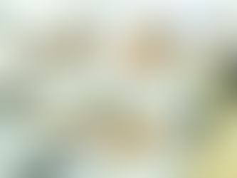 Querétaro sede del Encuentro Nacional “Los ECOS de la Salud Pública”