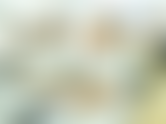 Querétaro sede del Encuentro Nacional “Los ECOS de la Salud Pública”