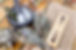 Untitled%20design-11_edited.jpg