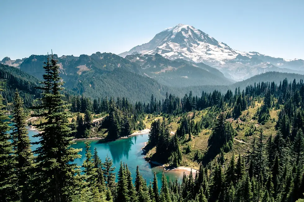 rainier.webp