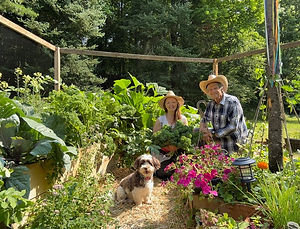 Our Garden.jpeg