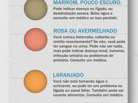 Características da Urina