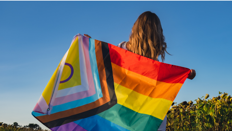 Estados e municípios realizam etapas preparatórias para 4ª Conferência Nacional dos Direitos das Pessoas LGBTQIA+