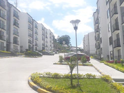 arevalo7