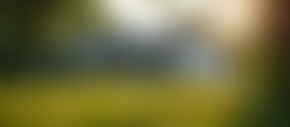 Protect Your Home: Ember Intrusion Mitigation Strategies