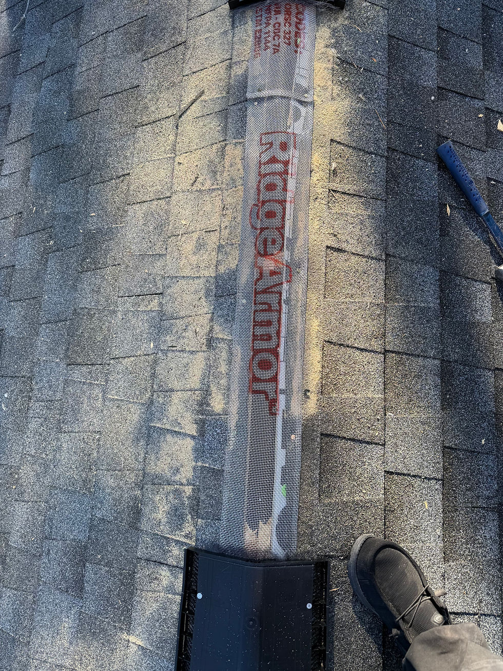 RidgeArmor Premium Series Type 304 stainless 1/8-inch ridge-slot mesh panel installed on an asphalt-shingle roof