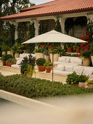 cq5dam.web.1280.1280 (32).jpeg